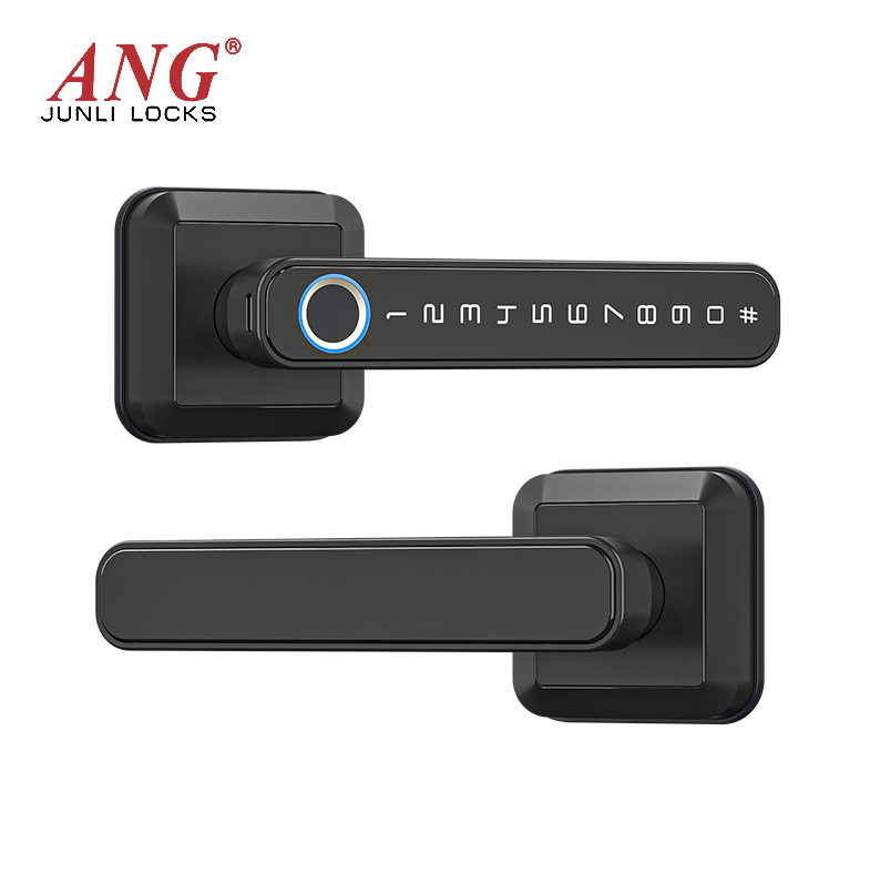 Sdk Available Fingerprint Digital Password Electric Double Door Smart Lock Set