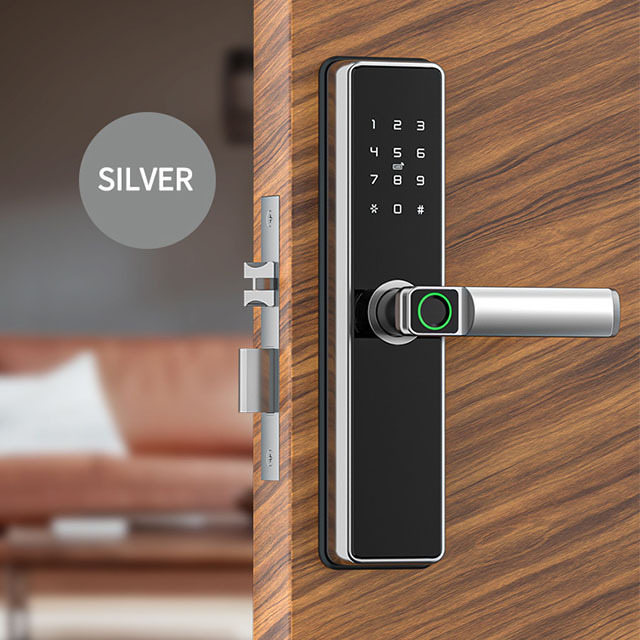 High Security Anti Theft biometric Intelligent electronic fingerprint smart door locks