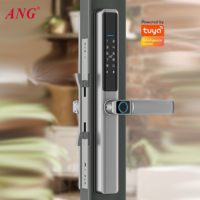 Waterproof Password Door Lock AA Battery Power Supply Ttlock Tuya Wifi Remote Control Glass Slider Door Lock