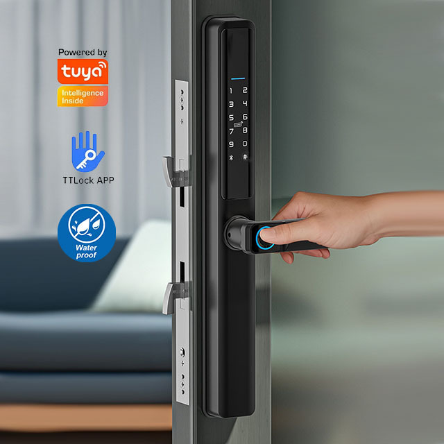 Waterproof Password Door Lock AA Battery Power Supply Ttlock Tuya Wifi Remote Control Glass Slider Door Lock