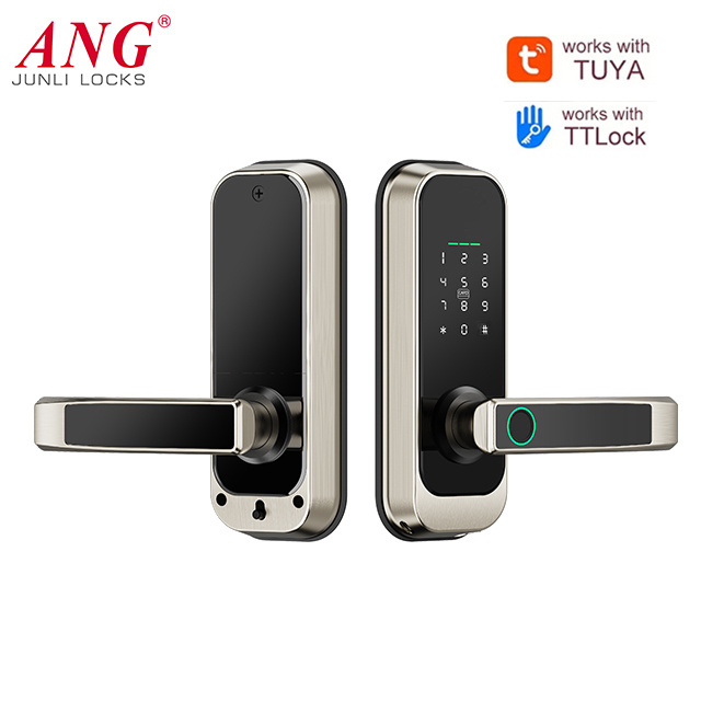 2024 European Style Password Fingerprint Smart Door Lock Ttlock Tuya Remote Control Door Lock For Home