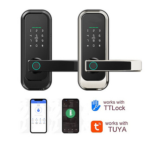 2024 European Style Password Fingerprint Smart Door Lock Ttlock Tuya Remote Control Door Lock For Home