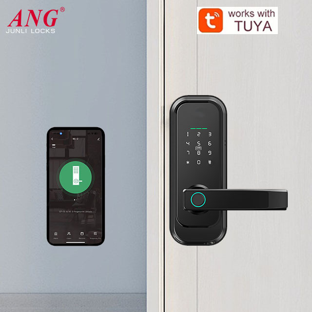 2024 European Style Password Fingerprint Smart Door Lock Ttlock Tuya Remote Control Door Lock For Home