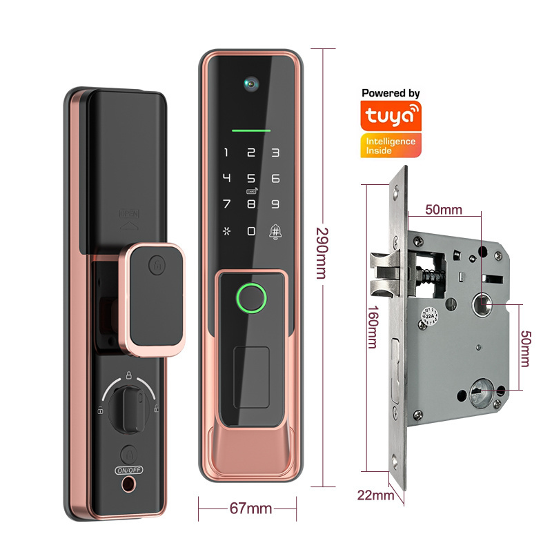 Push Pull Smart Door Lock With Camera And Fingerprint Airbnb Curved Glass Tuya Wifi Door Lock