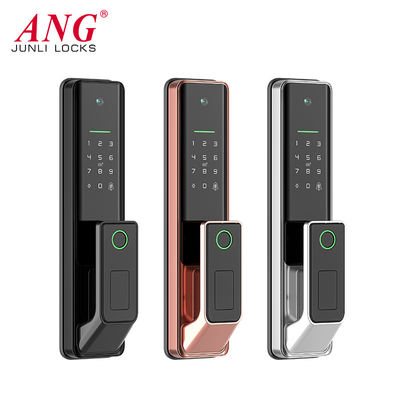 Push Pull Smart Door Lock With Camera And Fingerprint Airbnb Curved Glass Tuya Wifi Door Lock