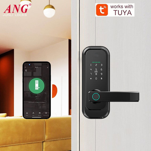 Smart Door Lock European Security Door Ttlock Tuya Wifi Fingerprint Door Lock