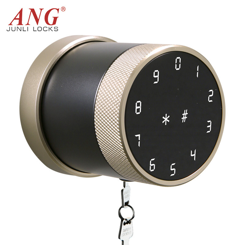 Digital Keyless Entry Door Knobs Lock Password Fingerprint Tuya Smart Door Locks