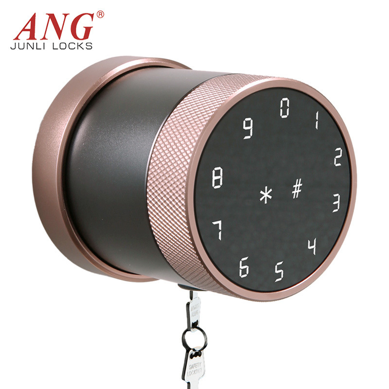 Digital Keyless Entry Door Knobs Lock Password Fingerprint Tuya Smart Door Locks