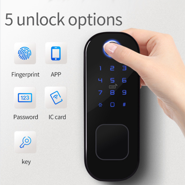 High Security Double Sided Fingerprint Door Lock TTlock Password Digital Smart Lock For Home