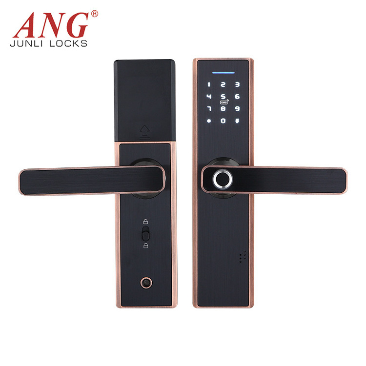 Modern Household Password Tuya App Wireless Wifi Controlled Card Reader Hotel Intelligent Door Lock