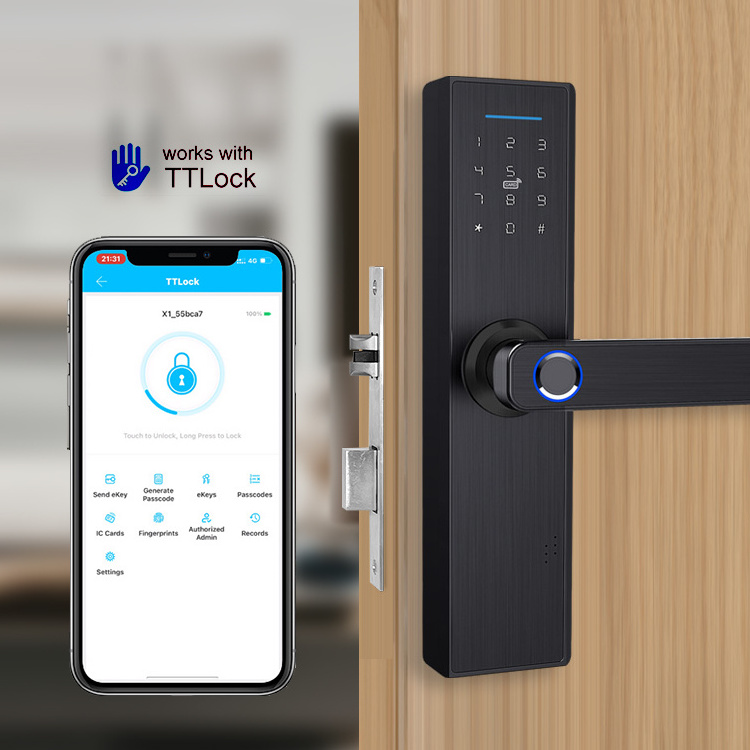 Cheap Price Wifi Tuya Tt App Fingerprint Code Office Smart Handle Door Lock