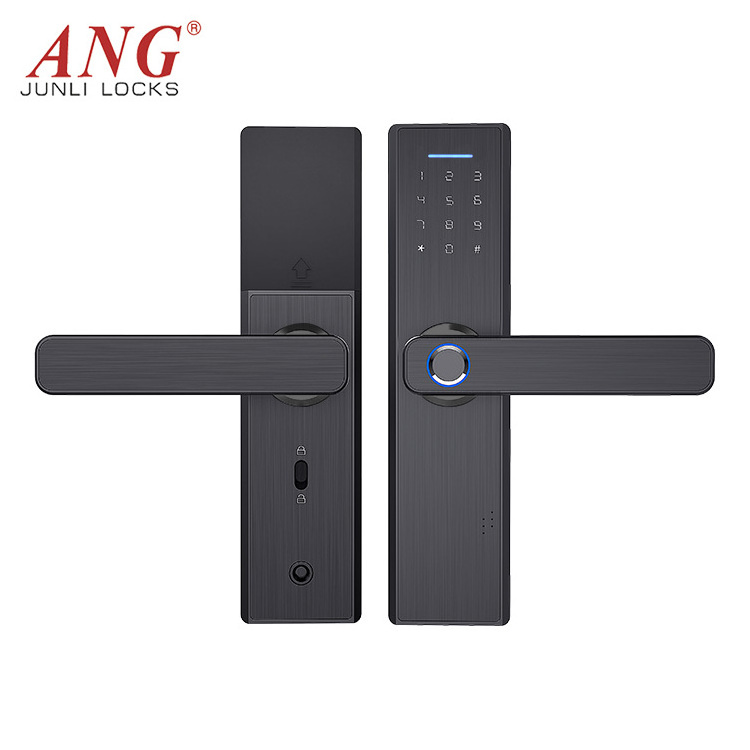 Modern Household Password Tuya App Wireless Wifi Controlled Card Reader Hotel Intelligent Door Lock