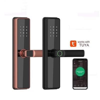 ANG Tuya WiFi App Smart Door Lock Biometric lock fingerprint door handle Digital Keyless lock