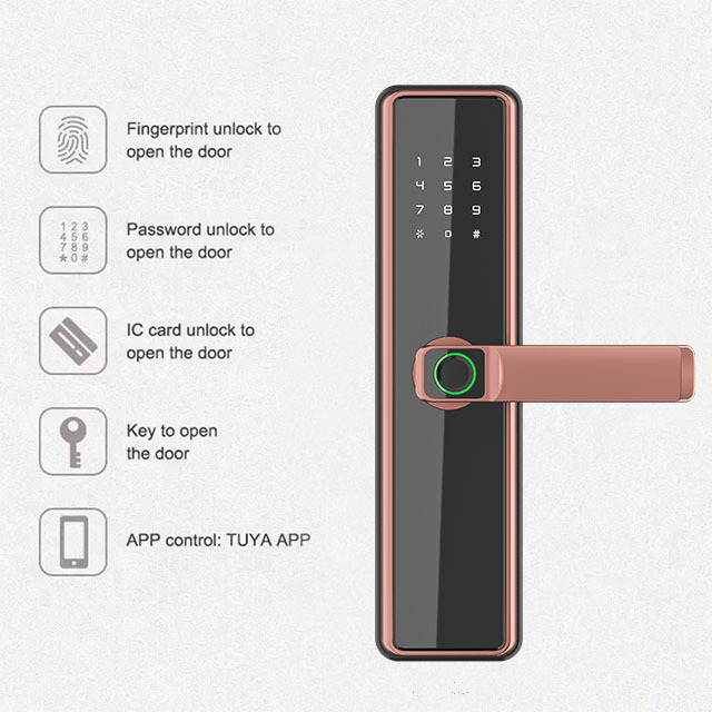 ANG Tuya WiFi App Smart Door Lock Biometric lock fingerprint door handle Digital Keyless lock