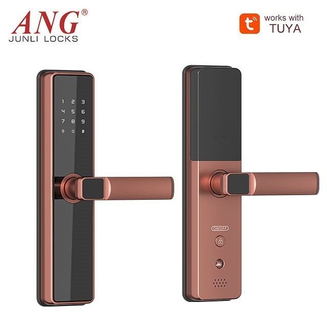 ANG Tuya WiFi App Smart Door Lock Biometric lock fingerprint door handle Digital Keyless lock