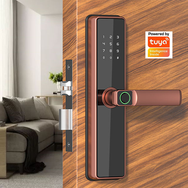 ANG Tuya WiFi App Smart Door Lock Biometric lock fingerprint door handle Digital Keyless lock