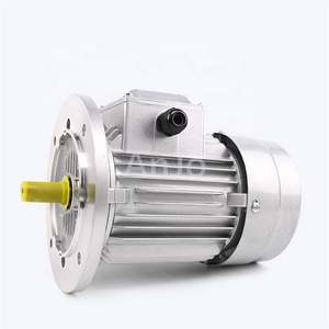 AC motor B5 Flange mounted motor IEC standards Aluminum housing Three phase asynchronous electrical motor