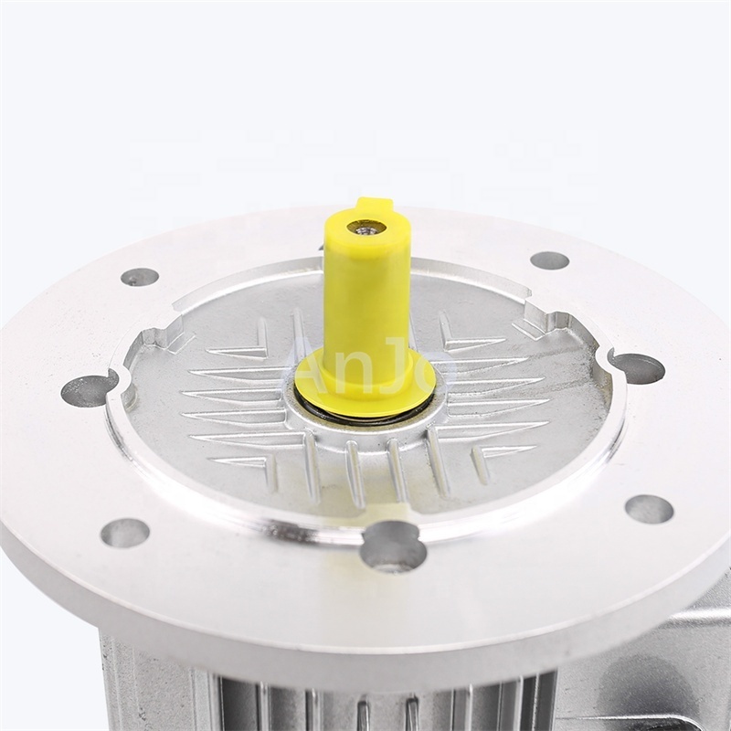 AC motor B5 Flange mounted motor IEC standards Aluminum housing Three phase asynchronous electrical motor