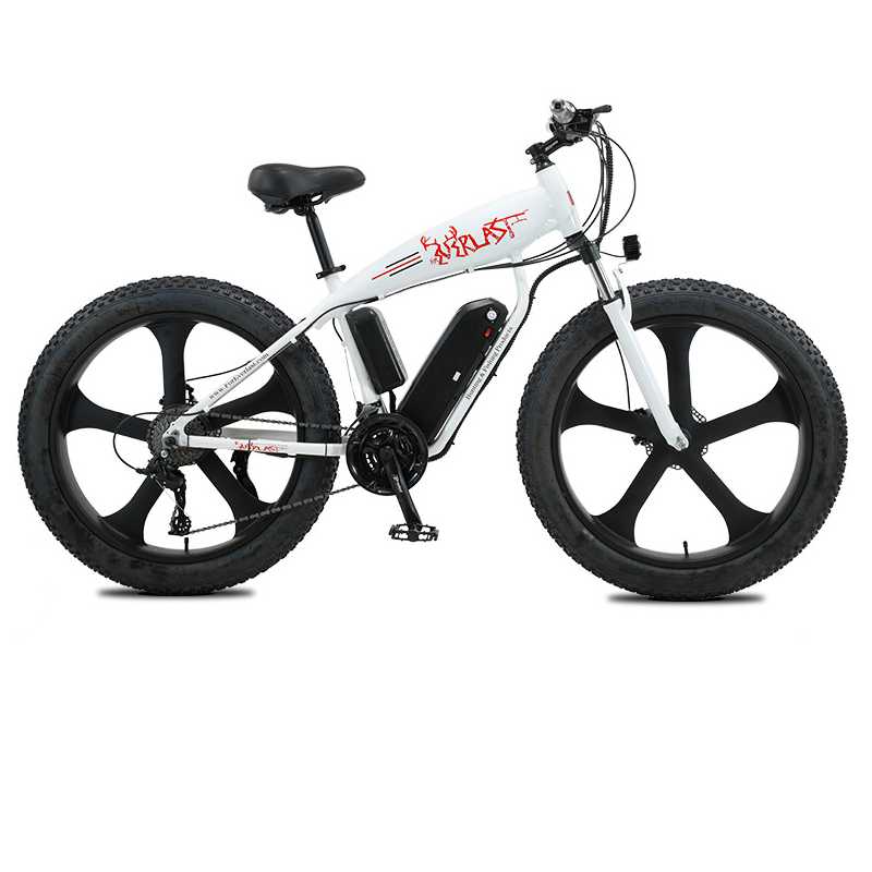 Most attractive aluminum alloy frame Fat bike beach Cruiser Ebike big tires adult electric mountain bike 1000w 48v e bike