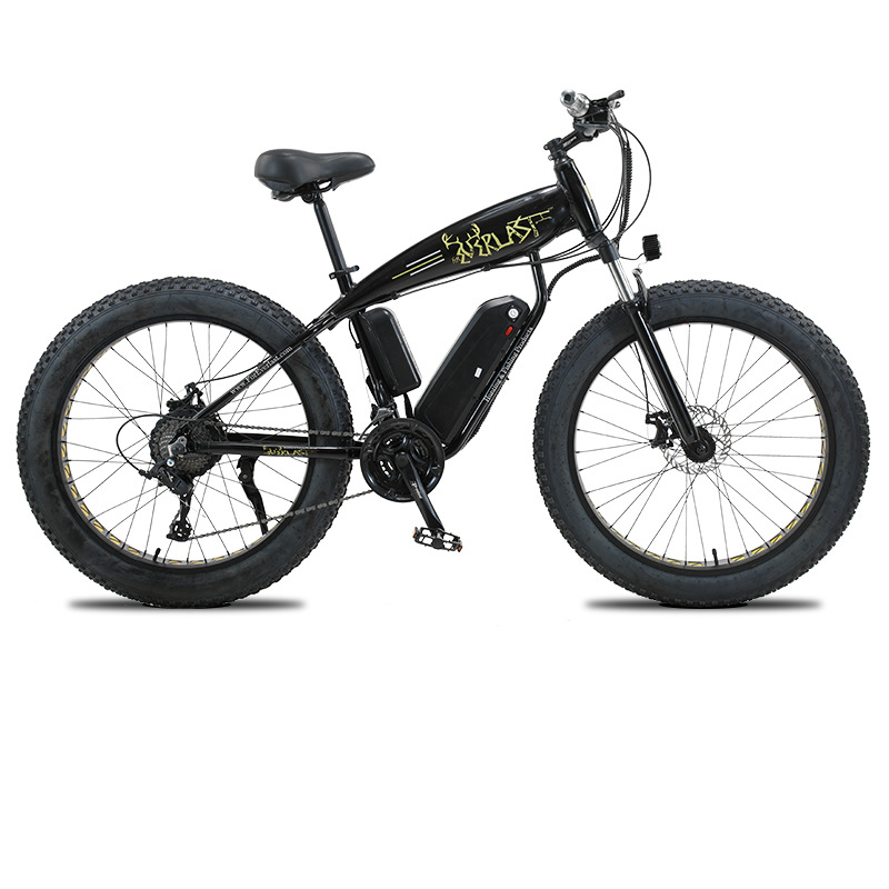 Most attractive aluminum alloy frame Fat bike beach Cruiser Ebike big tires adult electric mountain bike 1000w 48v e bike