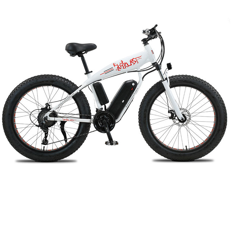 Most attractive aluminum alloy frame Fat bike beach Cruiser Ebike big tires adult electric mountain bike 1000w 48v e bike