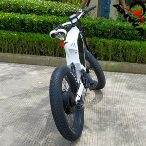 High speed 75KM/H fat tire electric mountain bike /snow bike 3000W 5000W enduro 3000w ebike