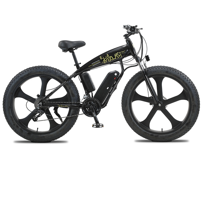 Most attractive aluminum alloy frame Fat bike beach Cruiser Ebike big tires adult electric mountain bike 1000w 48v e bike