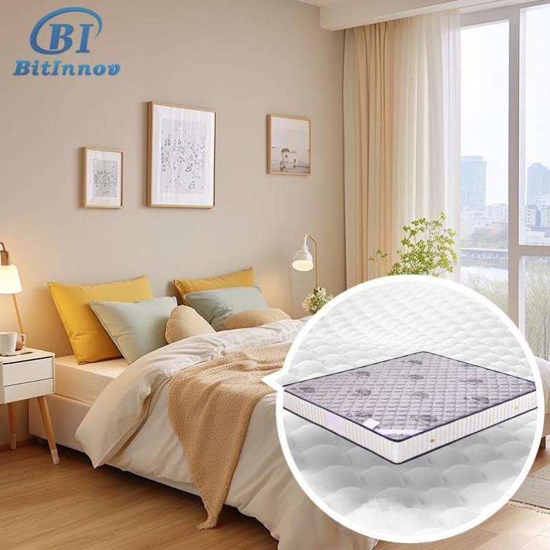 Bitinnov NO.811 200*180*22cm floor bedding foam latex bed mattress living room firm queen flexible foam mattress topper queen