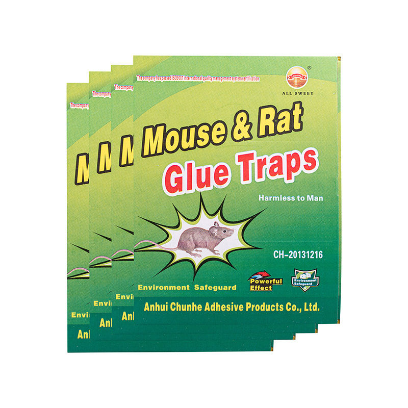 Cockroach and mouse traps for home physical pest control Sticky cardboard and mouse glue traps for insect control