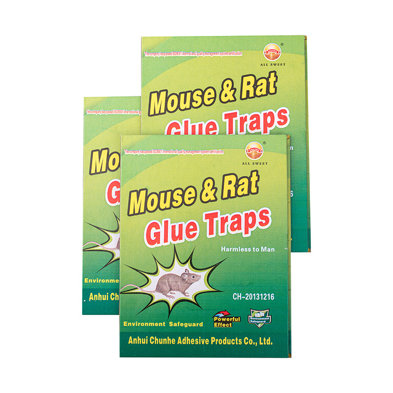 Cockroach and mouse traps for home physical pest control Sticky cardboard and mouse glue traps for insect control