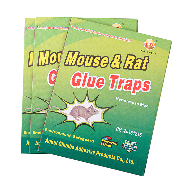 Cockroach and mouse traps for home physical pest control Sticky cardboard and mouse glue traps for insect control