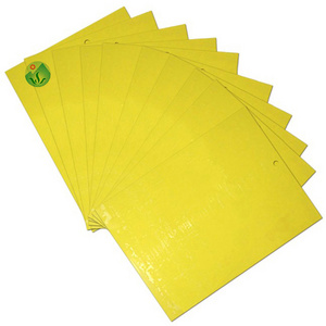 High Cost-effective Yellow PP Sheets Insect Glue Boards Catch Fruit Fly Sticky Bug Traps