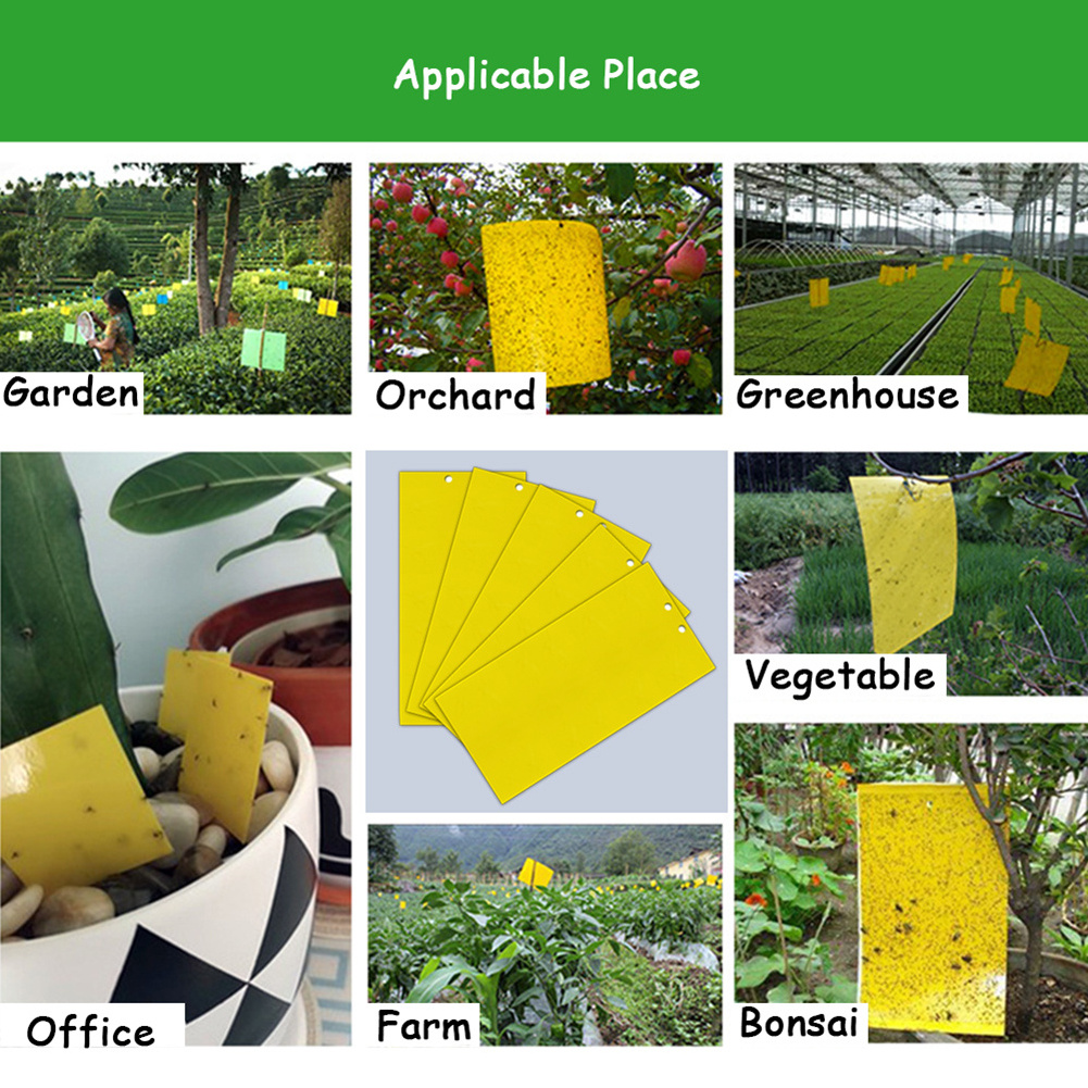 Yellow PP glue fly trap Insects pest killer eco friendly hanging glue sticky traps fruit fly and gnat trap