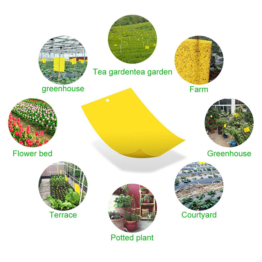 Yellow PP glue fly trap Insects pest killer eco friendly hanging glue sticky traps fruit fly and gnat trap