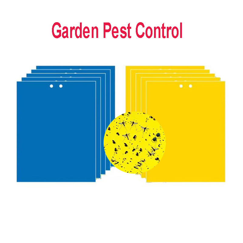 Yellow PP glue fly trap Insects pest killer eco friendly hanging glue sticky traps fruit fly and gnat trap