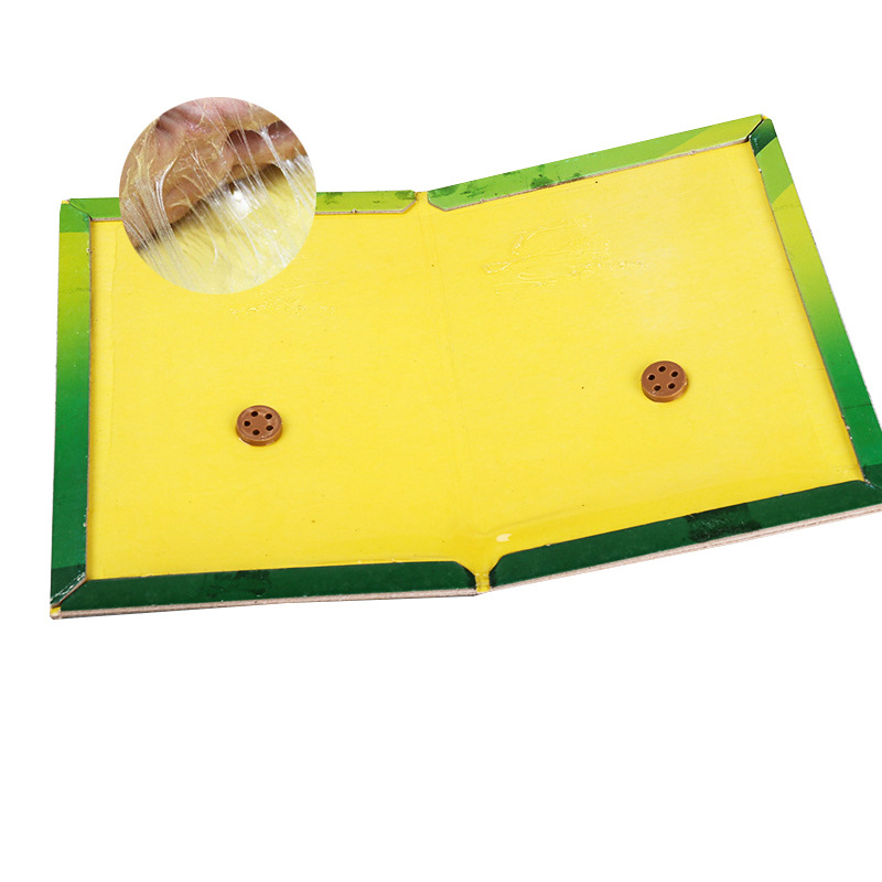 Strong Glue Mouse Rat Catch Plate Rat Traps Sticky Boards