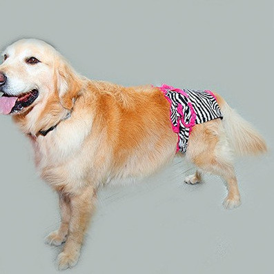 Redhill Hot sexy Pet Dog Panty Brief in Season Sanitary Pants Female Girl Dog Physiological Pants Pet Underwear Shorts Diapers