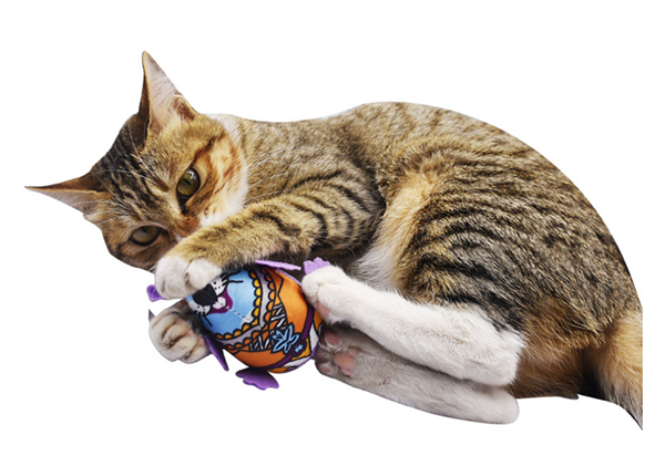 RH6841 Voice Catnip Cat Toy Colorful Rat Plush Mouse Cat Toys Pet Cat Interactive Toys