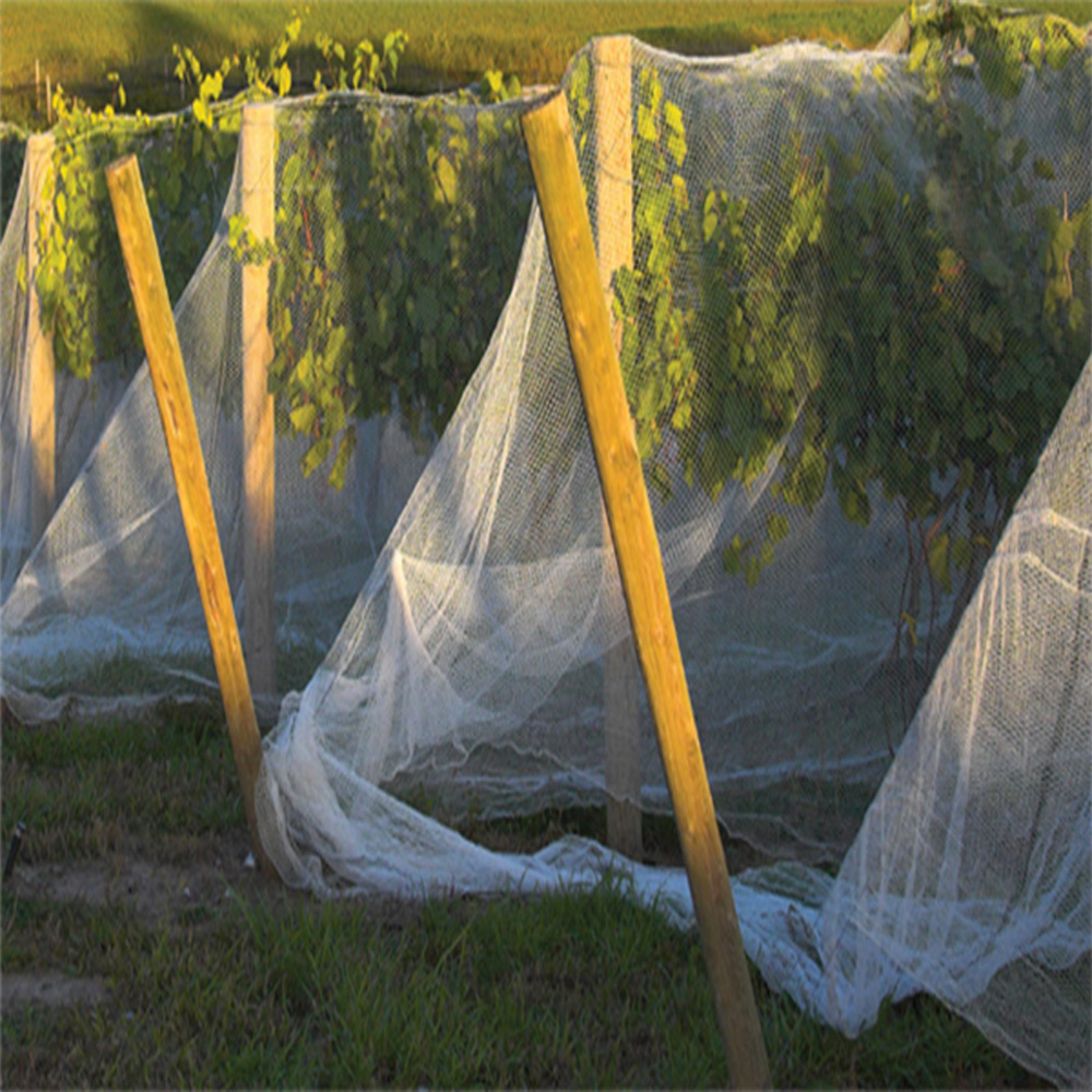 60 Mesh 130gsm Agriculture  Garden Greenhouse Horticulture Plant Protection Anti Insect Net