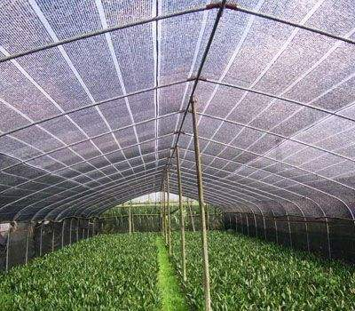 Manufacture 170gsm factory direct hot sale sun shade net for agricultural greenhouses