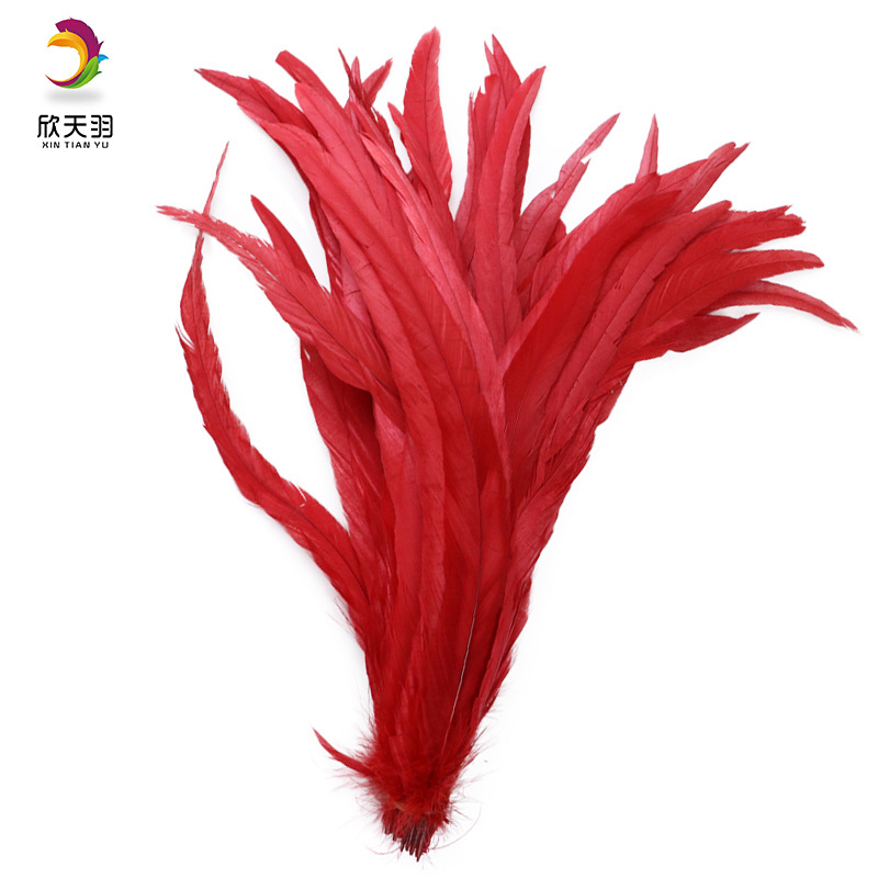 Wholesale Fluffy Beautiful dyed Rooster Tail Feathers For DIY Craft/Dress/Carnival Party Decoration