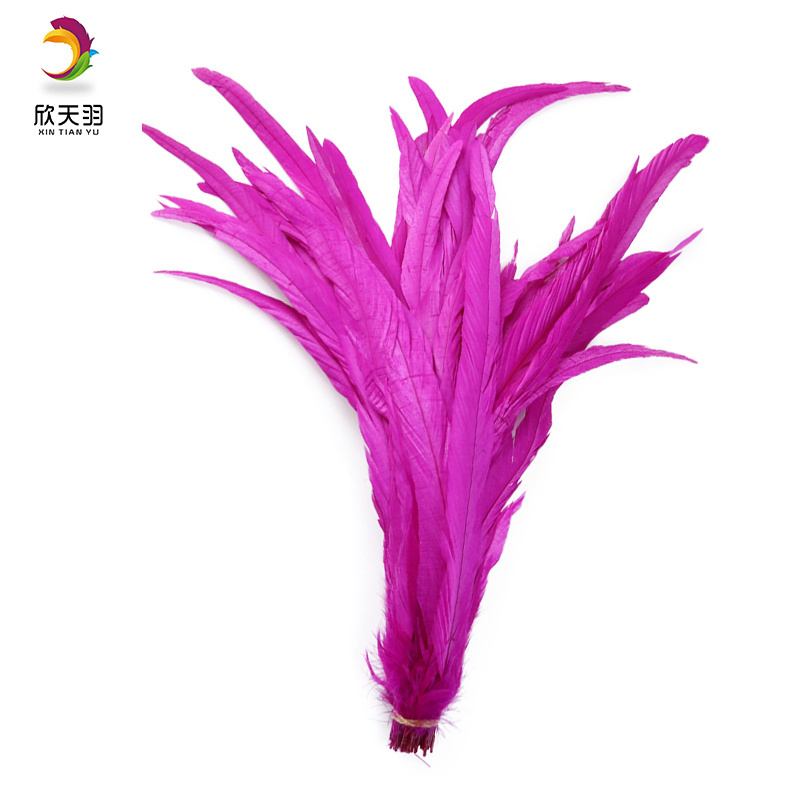 Wholesale Fluffy Beautiful dyed Rooster Tail Feathers For DIY Craft/Dress/Carnival Party Decoration