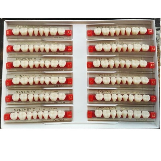 High quality 2 3 4 layers hard acrylic teeth for dentures