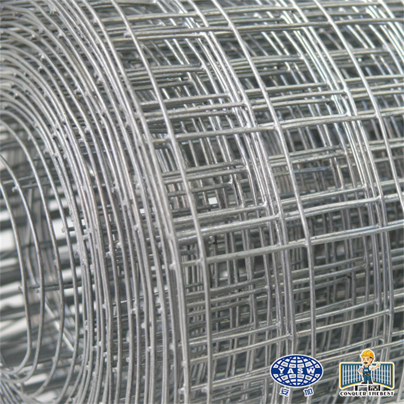 Hot Sale Electro Galvanized Mesh Hot Dipped Galvanized Welded Wire Mesh Cloture Grillage Rigide