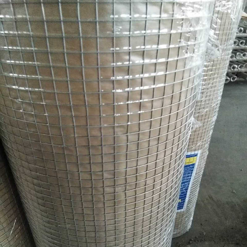 Hot Sale Electro Galvanized Mesh Hot Dipped Galvanized Welded Wire Mesh Cloture Grillage Rigide