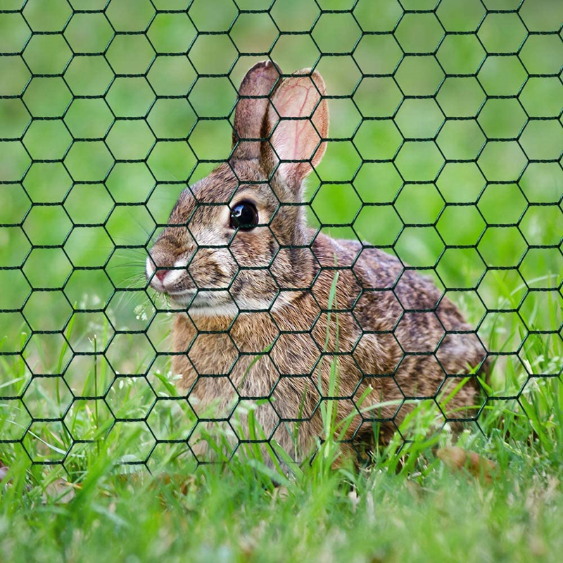 Factory Direct Supply Hexagonal Plastic Green Coated Wire Mesh For Making Net Cast Rooster Cages