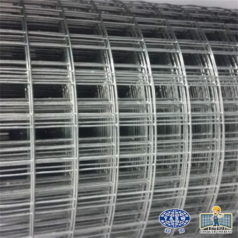 Hot Sale Electro Galvanized Mesh Hot Dipped Galvanized Welded Wire Mesh Cloture Grillage Rigide