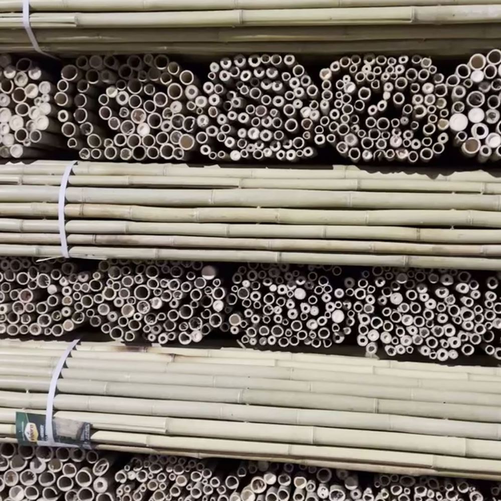 New cheap price garden outdoor bamboo fencing roll natural