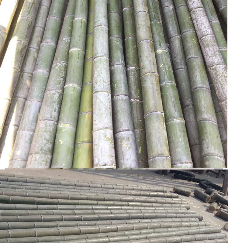 Multifunctional Diy Bamboo Tube Natural Furniture Making Material Raw Bamboo Pole