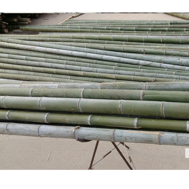 Multifunctional Diy Bamboo Tube Natural Furniture Making Material Raw Bamboo Pole